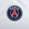 PSG Dri-Fit ADV Match Away Shirt 23-24